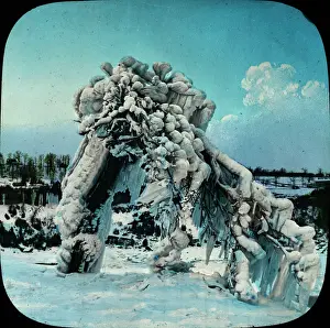 Snow Covered: Frozen Trees - Prospect Park, Niagara, NY State, USA