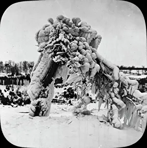 Snow Covered: Frozen Trees - Prospect Park, Niagara, NY State, USA