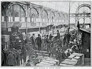 Wholesale: Fruit auctions at Covent Garden 1900