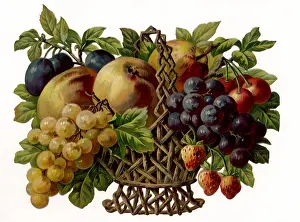 Woven: Fruit Basket