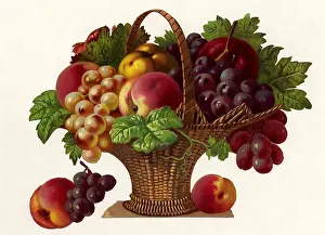 Ripe: Fruit Basket