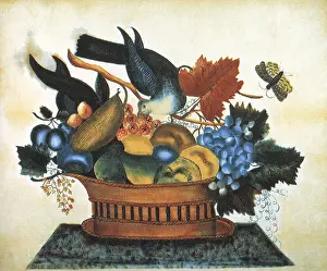 Theorem: Fruit, Bird, & Butterfly Theorem Painting