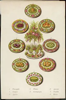 Apricots: FRUIT DISHES