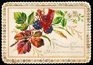 Brambles: Fruit and flowers on a Christmas card