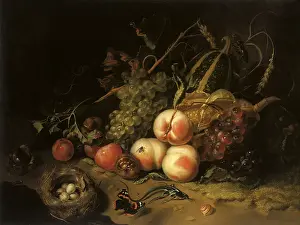1711: Fruit and Insects