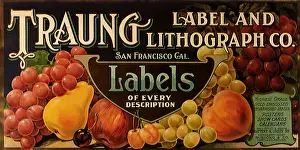 Apricots: Fruit Label