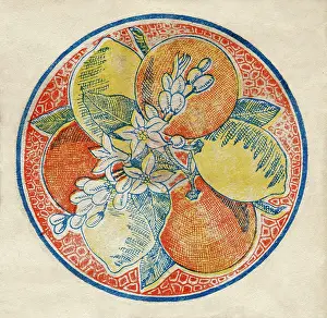 Fruit Label -- oranges and lemons