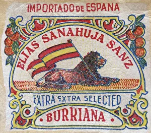 Sanz: Fruit Label -- Spanish oranges