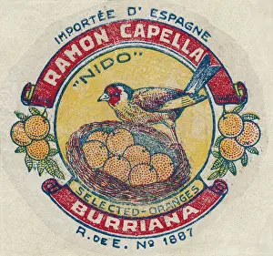 Capella: Fruit Label -- Spanish oranges