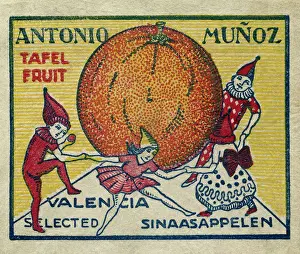 Munoz: Fruit Label -- Spanish oranges