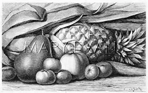 Tangerines: FRUIT/MIXED DECORATIVE