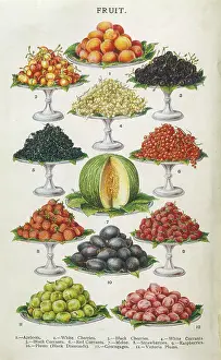 Beeton: Fruit on Platters 1907
