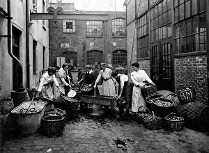 Kriegshilfsdienst: Fruit processing, 1914