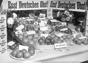 Horticultural: Fruit stand at the horticultural exhibition in Berlin-Kaulsd