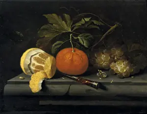 Lemon: Fruit on a Stone Table'.Still life. Johannes