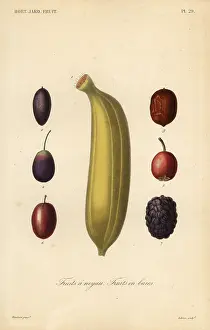 Potager: Fruits, Fruits a noyau