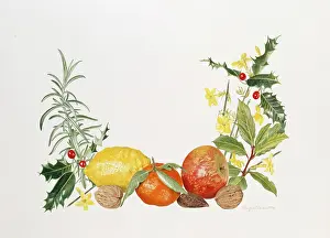 Jasmine: Fruits, Nuts, Winter Jasmine, Holly etc