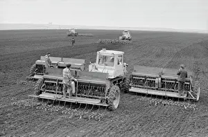 Belgorod: Frunze Collective Farm