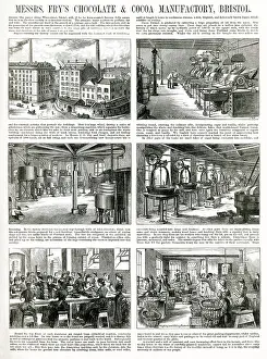 Creams: Fry's Chocolate & Cocoa manufactory 1884
