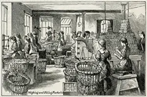 Messrs: Fry's Chocolate & Cocoa manufactory 1884