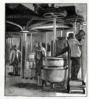Confectionery: Fry's Cocoa and Chocolate, grinding chocolate