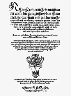 Leonhart: Fuchs, Leonhart, 17.1.1501 - 10.5.1566, German