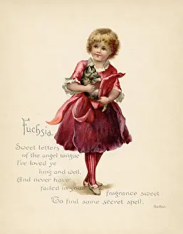 Fuchsia: Fuchsia / Language of Flowers