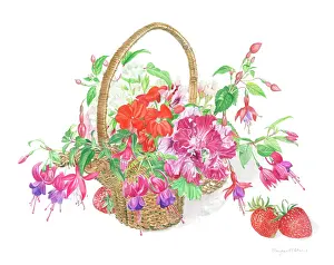Fuchsias: Fuchsias and other flowers in a basket