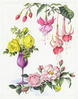Stemmed: Fuchsias with yellow and pink roses