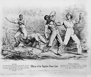 Fugitive: Fugitive Slave Law