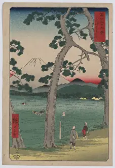 Paddies: Fuji on the left side of the Tokaido Fuji on the left side o