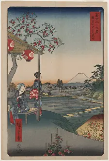 Teahouse: Fujimi Teahouse at Zoshigaya