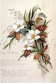 Fulness: FULNESS OF JOY PL.18