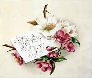 Fulness: FULNESS OF JOY PLATE 1
