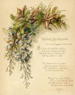 Accompaniment: Fulness of Joy Plate 10