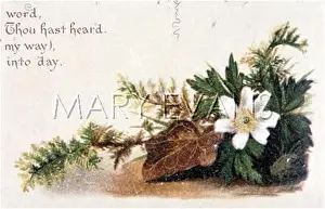 Rubus: FULNESS OF JOY PLATE 14