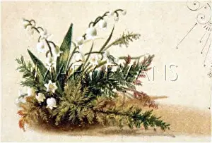 Fulness: FULNESS OF JOY PLATE 16