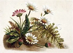 Fulness: FULNESS OF JOY PLATE 19