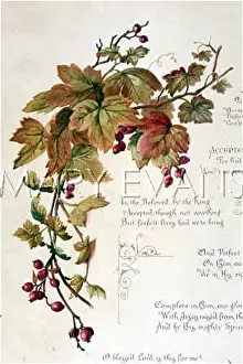 Tendril: FULNESS OF JOY PLATE 3
