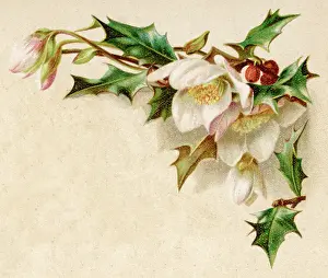 Accompaniment: Fulness of Joy Plate 31