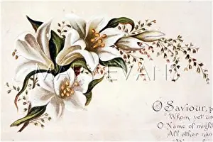 Fulness: FULNESS OF JOY PLATE 5