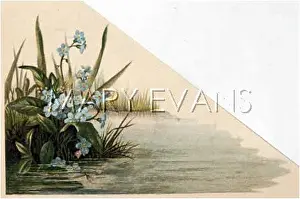 Fulness: FULNESS OF JOY PLATE 9
