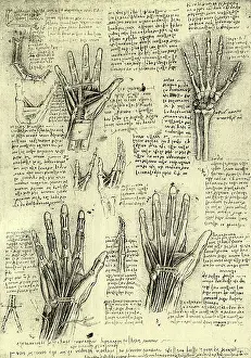 Motions: Functions of Human Hand
