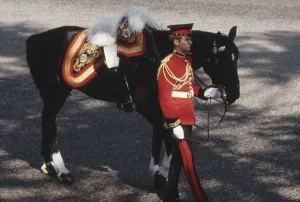Stirrups: The Funeral of Lord Louis Mountbatten of Burma