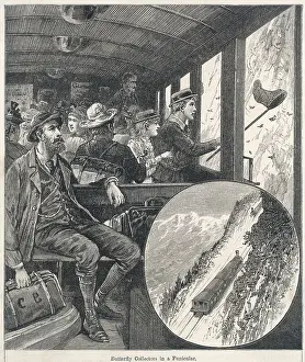 Funicular: FUNICULAR BUTTERFLIES