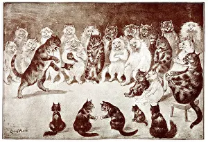 Comical: A Funny Story, Comical Cats