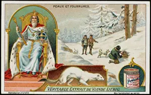Valued: FUR / ERMINE