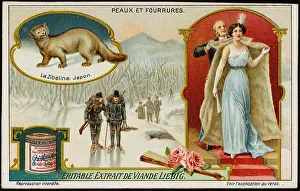 Sable: FUR / SABLE
