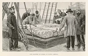Arenas: FUR TRADING IN ARGENTINA