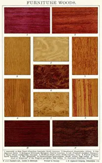 Mahogany: FURNITURE WOODS